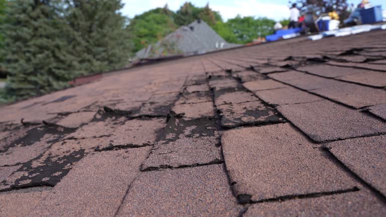 Best Cold Roofs  in , KS