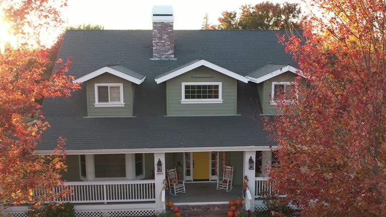 Best Roof Moss and Algae Removal  in , KS