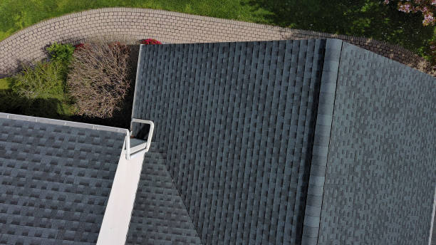 Best Roof Moss and Algae Removal  in , KS