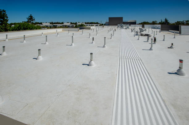 Best Roof Maintenance and Cleaning  in , KS